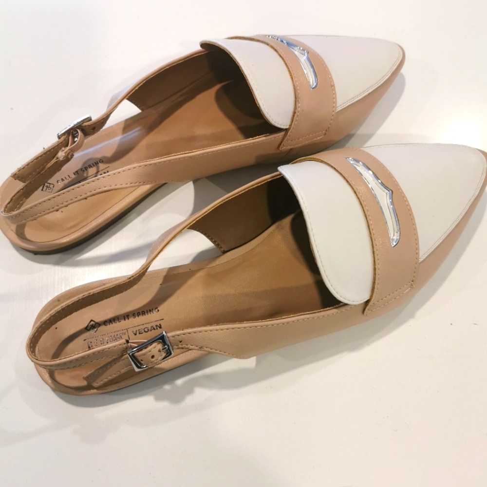 Pointed Toe Slingback Flats
